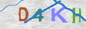 キャプチャ画像