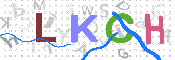 キャプチャ画像