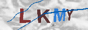 キャプチャ画像