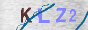 キャプチャ画像