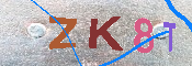キャプチャ画像