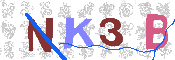 キャプチャ画像