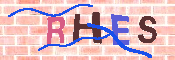 キャプチャ画像