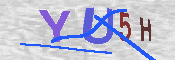 キャプチャ画像